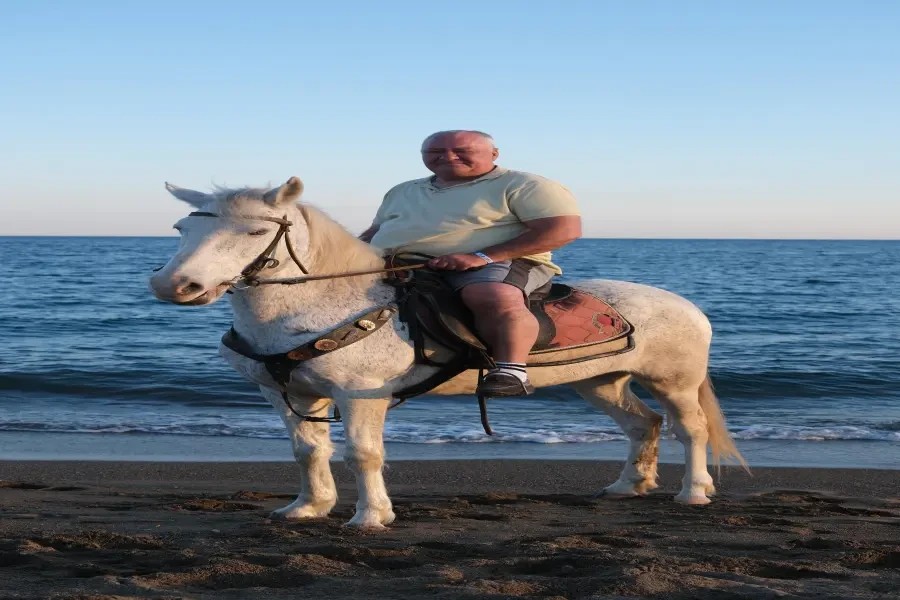 🌟 Тур на лошадях по Анталии – Выберите ваше приключение! 🏇🌲🌊