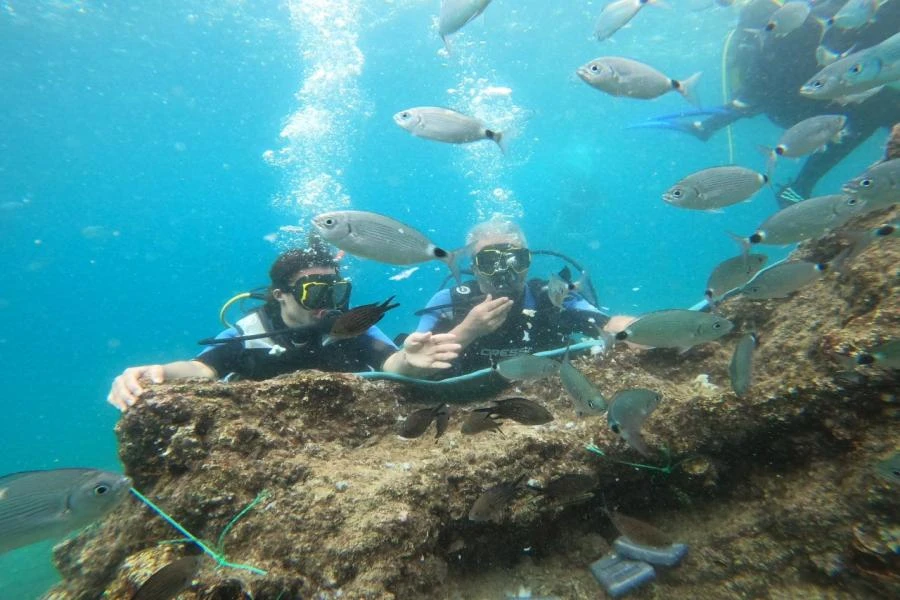 Alanya Diving Tour and Transfer Service
