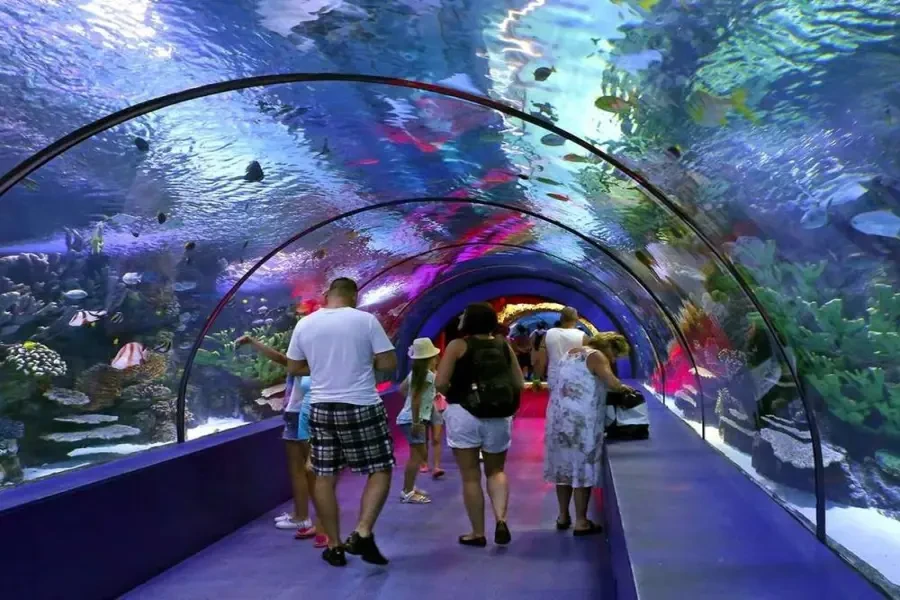 Side to Antalya Aquarium Tour – A Magical Underwater & City Adventure!