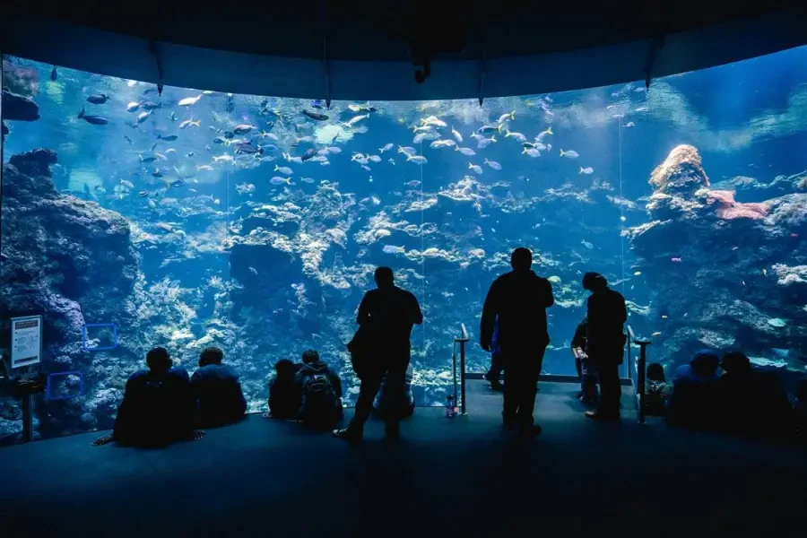 Side to Antalya Aquarium Tour – A Magical Underwater & City Adventure!